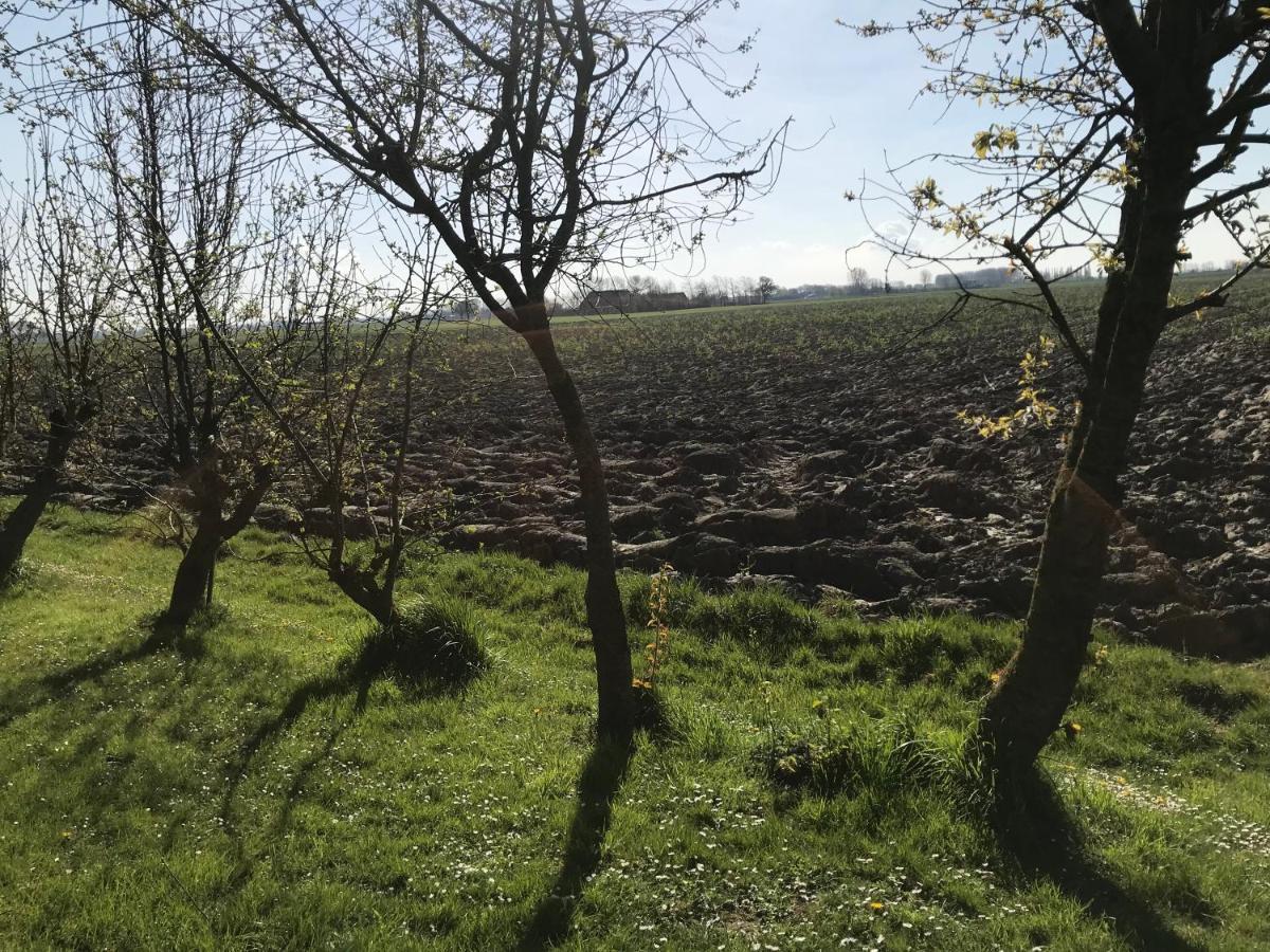 Dijkhuisje Zeeland Waterlandkerkje Luaran gambar