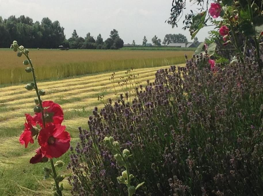 Dijkhuisje Zeeland Waterlandkerkje Luaran gambar