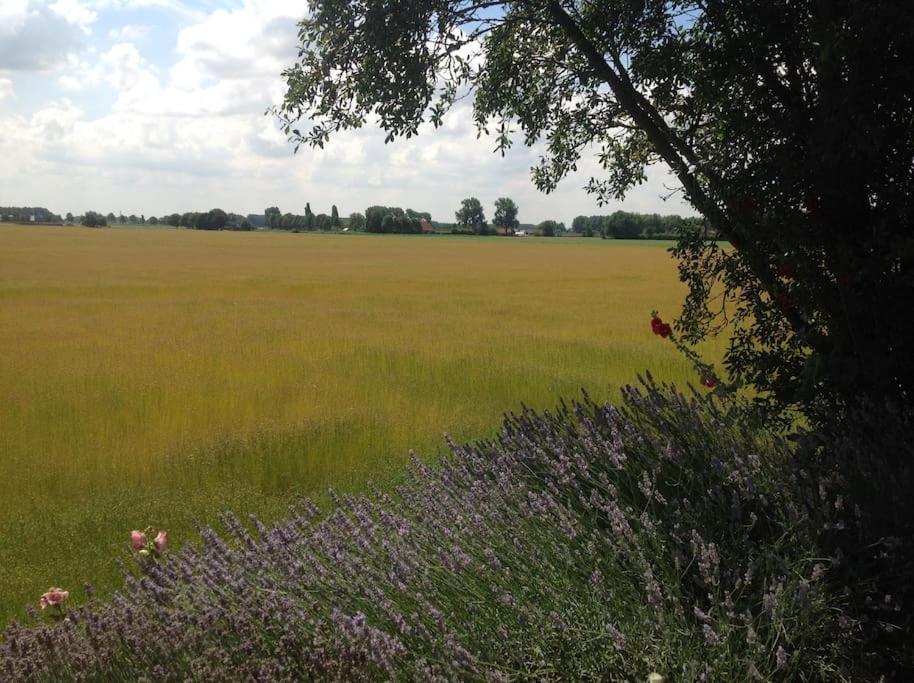 Dijkhuisje Zeeland Waterlandkerkje Luaran gambar