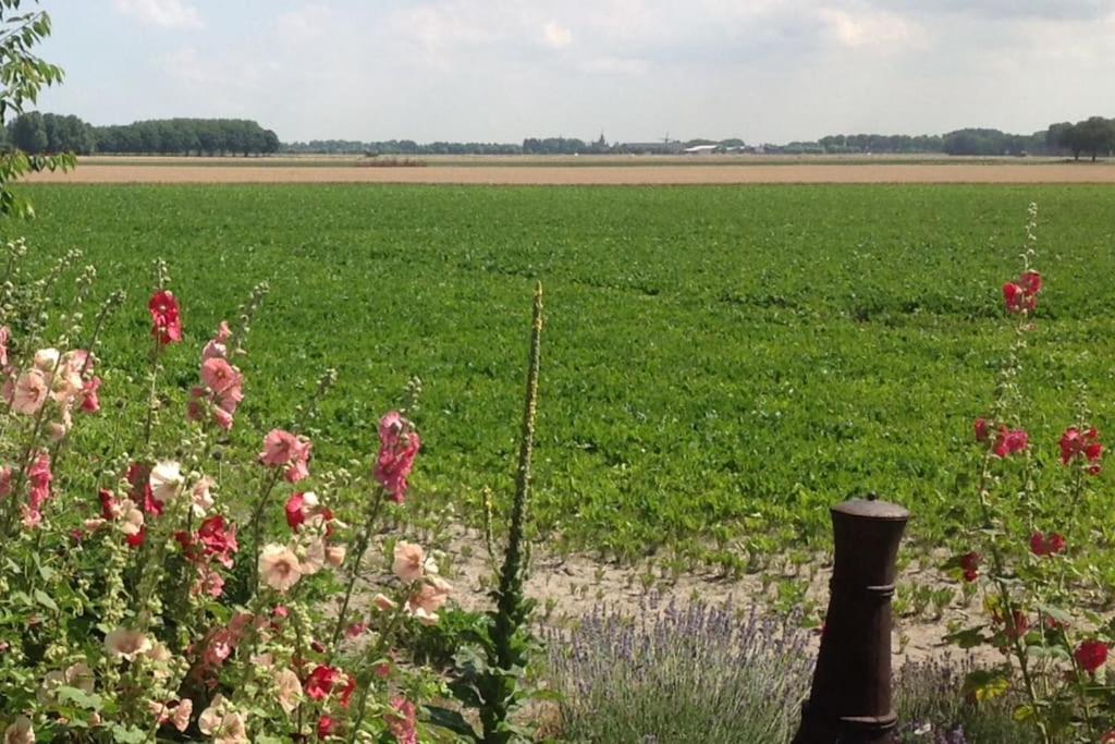 Dijkhuisje Zeeland Waterlandkerkje Luaran gambar