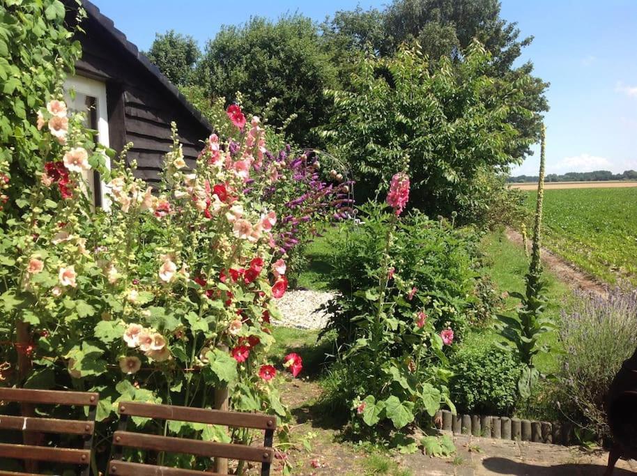Dijkhuisje Zeeland Waterlandkerkje Luaran gambar
